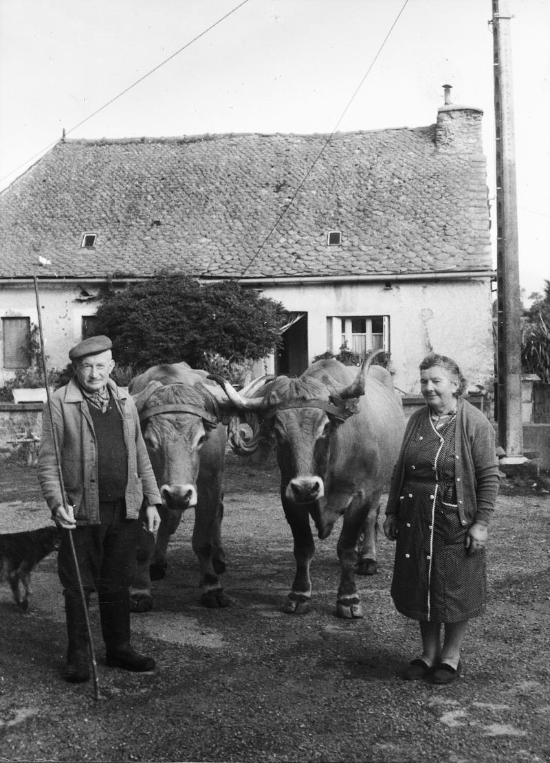 Couple (coble) avec paire de bovidés (parelh) devant une maison (ostal), à Miquels, 1975