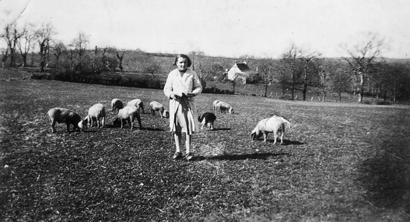 Jeune fille gardant des cochons (pòrcs, tessons) dans une prairie (prada, prat), maison (ostal) au loin, au Pontet, 1940