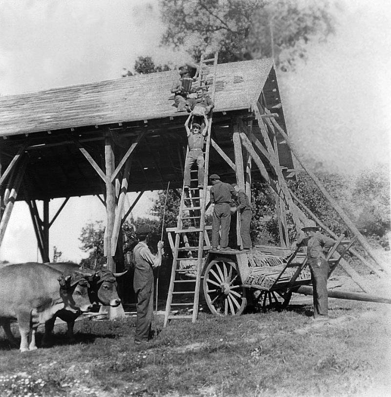 Paire de bovidés (parelh), ouvriers (obrièrs) faisant la chaîne (« far Guilhaume ») sur une échelle (escala) pour monter depuis un char (carri) les tuiles (teulas, tiulas) mécaniques d'un hangar (caba