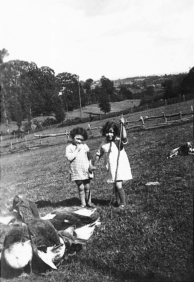 Deux enfants gardant des oies (aucas) dans une prairie (prada, prat), au Théron, 1939