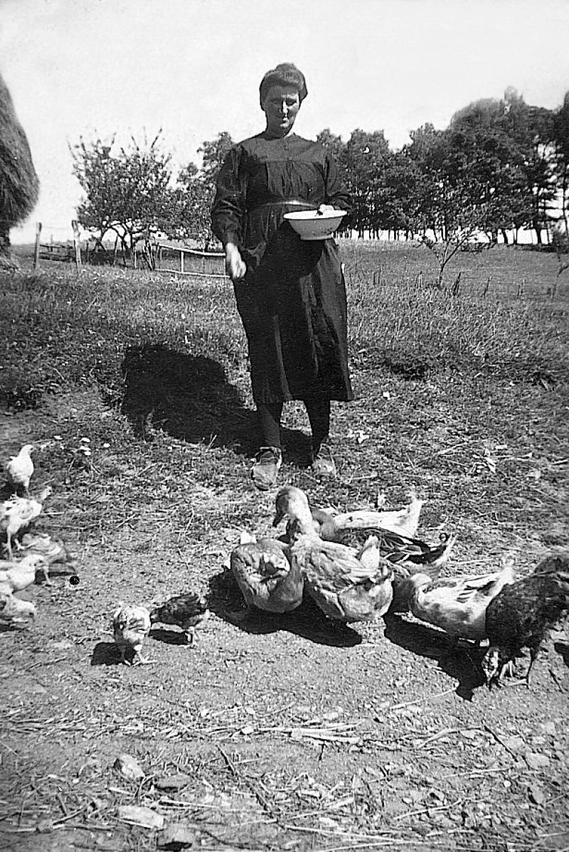 Femme donnant à manger (apasturar) à de la volaille (volalha), au Cussou, 1926