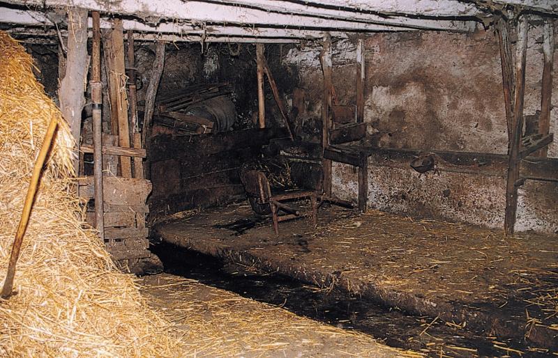 Tas de paille (palha) et brouette (carriòl) dans une étable (estable) à bovidés, octobre 1998