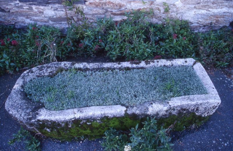Sarcophage (ataüc, caissa de mòrt) utilisé comme jardinière, à Carcenac-Salmiech, octobre 1996