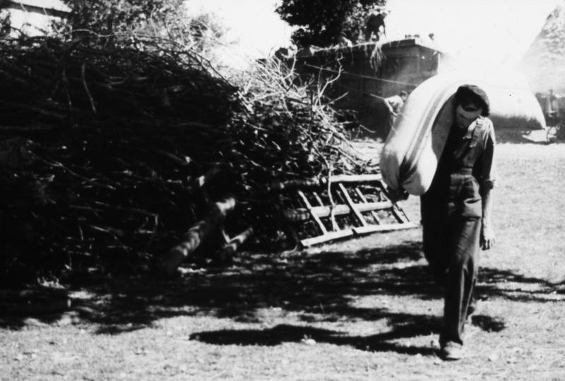 Homme transportant un sac (saca) de grain sur l'épaule (espatla) devant un tas de branchages (lenhièr) et une batteuse (batusa), à Magrin, 1957