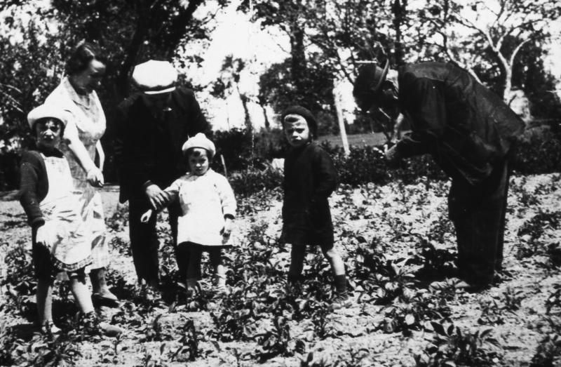Enfants (dròlles, enfants) et personnes ramassant les doryphores dans un champ (patanonièira, trufièira) de pommes de terre (patanons, trufas, trufes, trufets), 1938