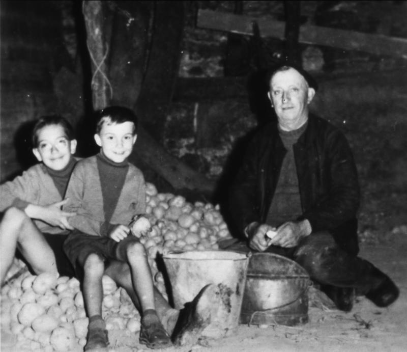 Deux garçons (dròlles, garçons) et un homme de La Frégière épluchant des pommes de terre (patanons, trufas, trufes, trufets) dans une cave (cava)